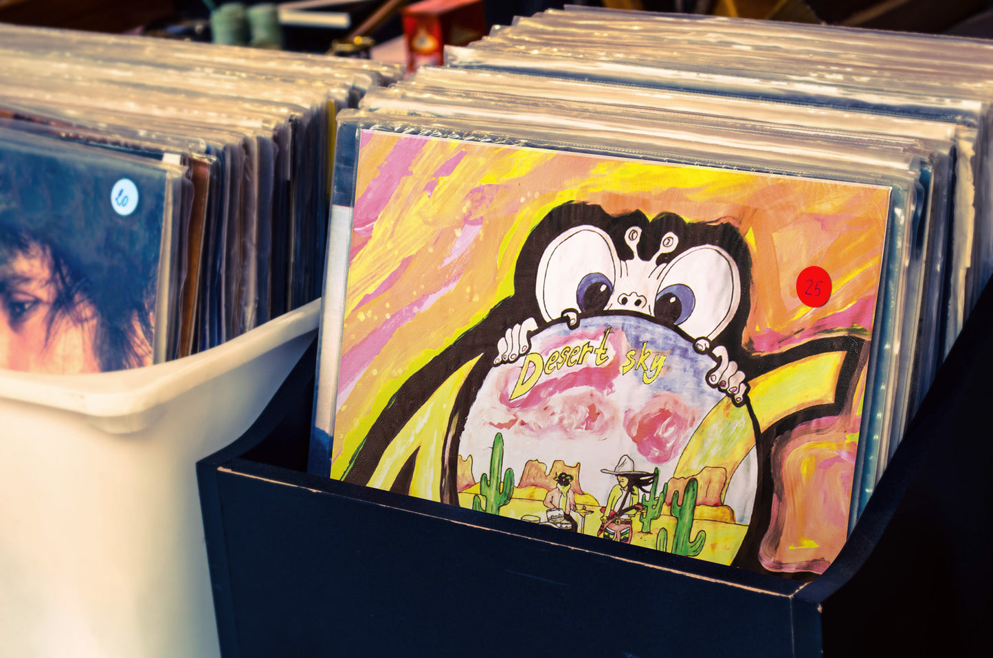 Vinyl – AC II: Desert Sky – LIMITED FIRST EDITION — *PRE-ORDER*